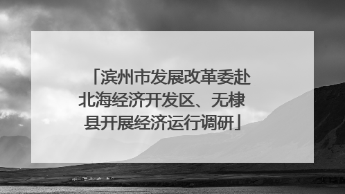 滨州市发展改革委赴北海经济开发区、无棣县开展经济运行调研
