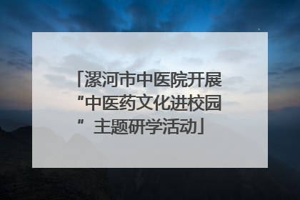 漯河市中医院开展“中医药文化进校园”主题研学活动