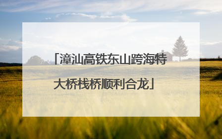 漳汕高铁东山跨海特大桥栈桥顺利合龙