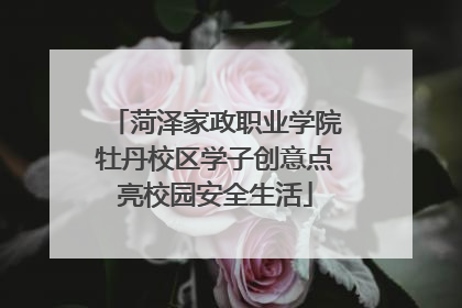 菏泽家政职业学院牡丹校区学子创意点亮校园安全生活