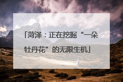 菏泽：正在挖掘“一朵牡丹花”的无限生机