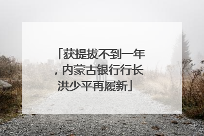 获提拔不到一年，内蒙古银行行长洪少平再履新