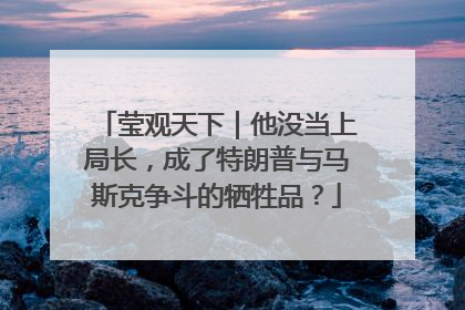 莹观天下｜他没当上局长，成了特朗普与马斯克争斗的牺牲品？
