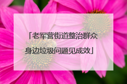 老军营街道整治群众身边垃圾问题见成效
