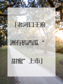老河口王府洲有机西瓜“甜蜜”上市