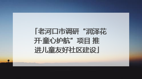 老河口市调研“润泽花开·童心护航”项目 推进儿童友好社区建设