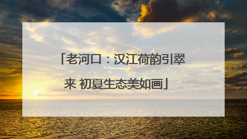老河口：汉江荷韵引翠来 初夏生态美如画