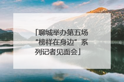 聊城举办第五场“榜样在身边”系列记者见面会