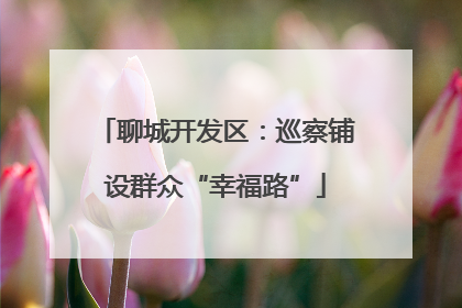 聊城开发区：巡察铺设群众“幸福路”