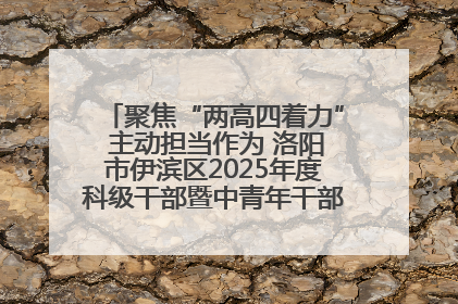 聚焦“两高四着力” 主动担当作为 洛阳市伊滨区2025年度科级干部暨中青年干部培训班开班