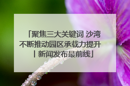 聚焦三大关键词 沙湾不断推动园区承载力提升丨新闻发布最前线