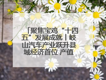 聚焦宝鸡“十四五”发展成就丨岐山汽车产业跃升县域经济首位 产值突破205亿 占规上工业75%