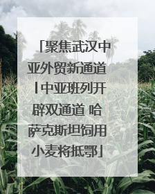 聚焦武汉中亚外贸新通道│中亚班列开辟双通道 哈萨克斯坦饲用小麦将抵鄂