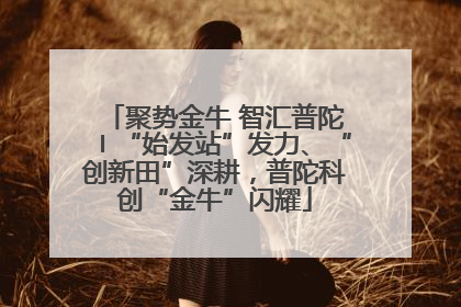 聚势金牛 智汇普陀〡“始发站”发力、“创新田”深耕，普陀科创“金牛”闪耀