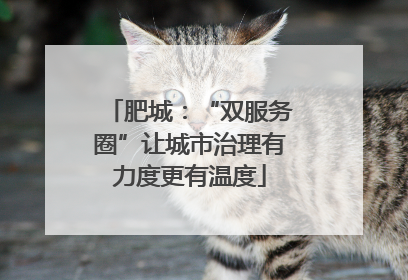 肥城：“双服务圈”让城市治理有力度更有温度