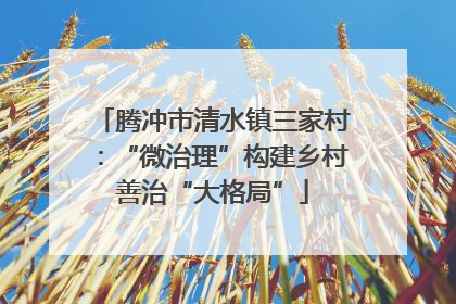 腾冲市清水镇三家村：“微治理”构建乡村善治“大格局”