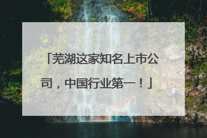 芜湖这家知名上市公司，中国行业第一！