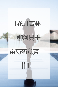 花开吉林｜柳河县千亩芍药竞芳菲