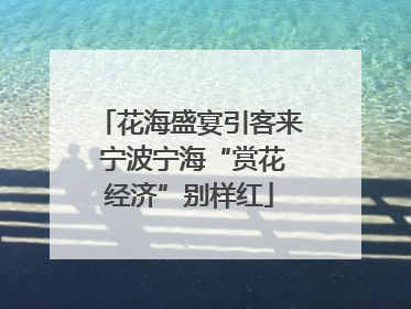 花海盛宴引客来 宁波宁海“赏花经济”别样红