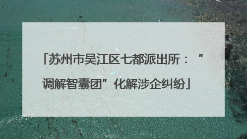 苏州市吴江区七都派出所：“调解智囊团”化解涉企纠纷