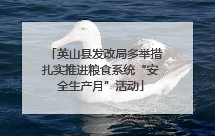 英山县发改局多举措扎实推进粮食系统“安全生产月”活动