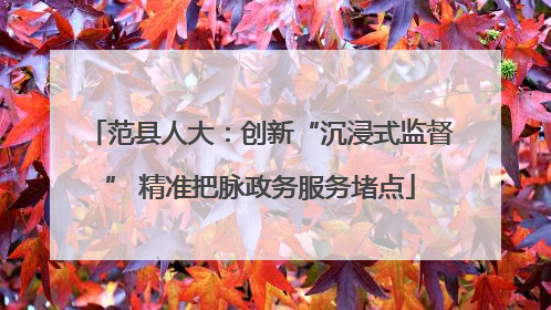 范县人大：创新“沉浸式监督” 精准把脉政务服务堵点