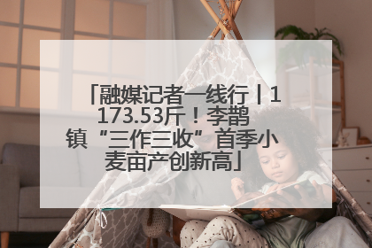 融媒记者一线行丨1173.53斤！李鹊镇“三作三收”首季小麦亩产创新高