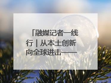 融媒记者一线行｜从本土创新向全球进击——我市生物医药产业破茧突围