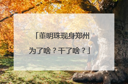 董明珠现身郑州 为了啥？干了啥？