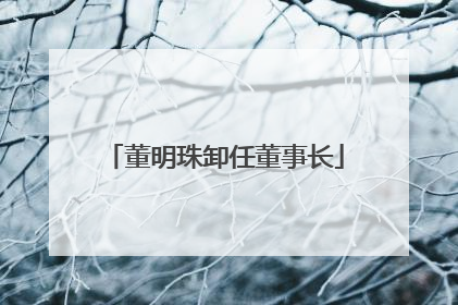 董明珠卸任董事长