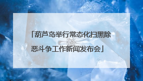 葫芦岛举行常态化扫黑除恶斗争工作新闻发布会