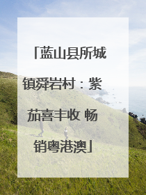 蓝山县所城镇舜岩村：紫茄喜丰收 畅销粤港澳