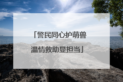 警民同心护萌兽 温情救助显担当