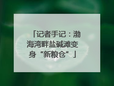 记者手记：渤海湾畔盐碱滩变身“新粮仓”