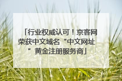 行业权威认可！京客网荣获中文域名“中文网址”黄金注册服务商