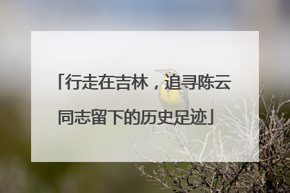 行走在吉林，追寻陈云同志留下的历史足迹