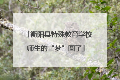 衡阳县特殊教育学校师生的“梦”圆了