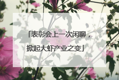 表彰会上一次闲聊，掀起大虾产业之变