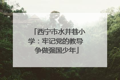 西宁市水井巷小学：牢记党的教导 争做强国少年