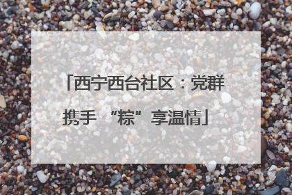 西宁西台社区：党群携手 “粽”享温情