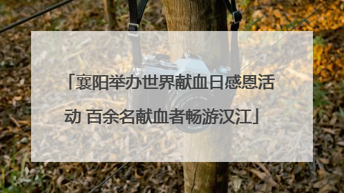 襄阳举办世界献血日感恩活动 百余名献血者畅游汉江