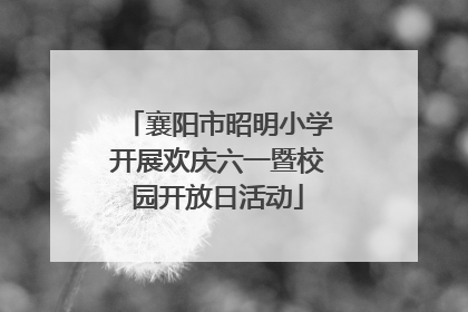 襄阳市昭明小学开展欢庆六一暨校园开放日活动