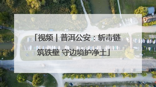 视频｜普洱公安：斩毒链筑铁壁 守边境护净土