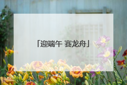迎端午 赛龙舟