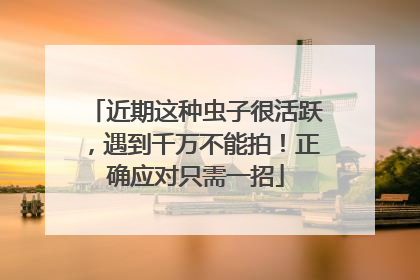 近期这种虫子很活跃，遇到千万不能拍！正确应对只需一招