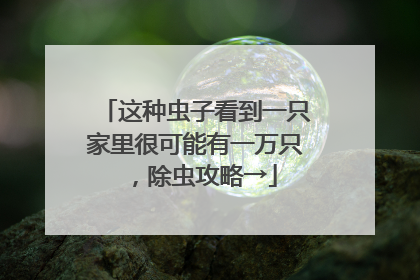 这种虫子看到一只家里很可能有一万只，除虫攻略→