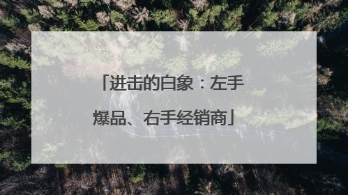 进击的白象：左手爆品、右手经销商