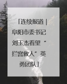 连续报道｜阜阳市委书记刘玉杰看望“拦窨救人”英勇团队