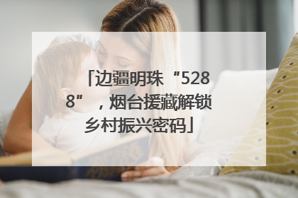 边疆明珠“5288”，烟台援藏解锁乡村振兴密码