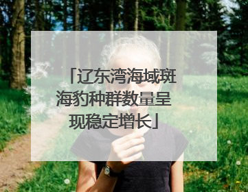 辽东湾海域斑海豹种群数量呈现稳定增长